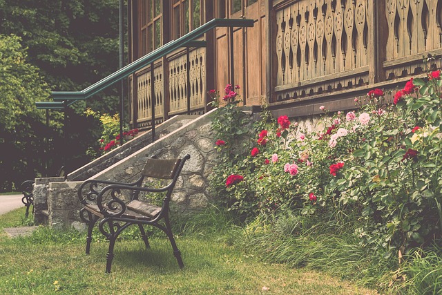 勇气和毅力 勇气和毅力