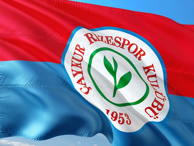 家隊的支柱 家隊的支柱