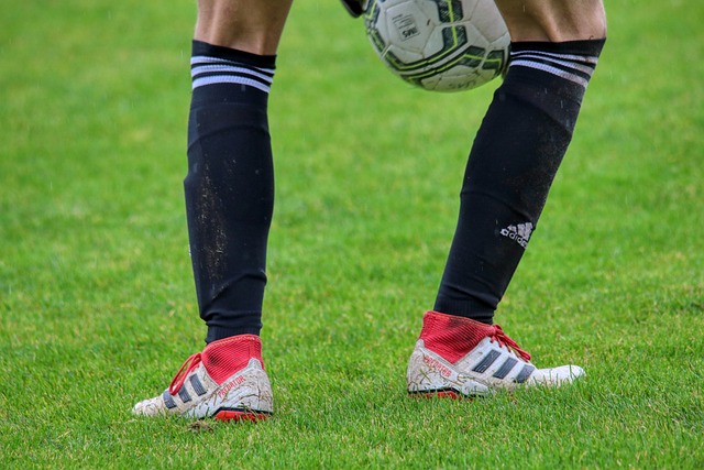 希望以上分 希望以上分