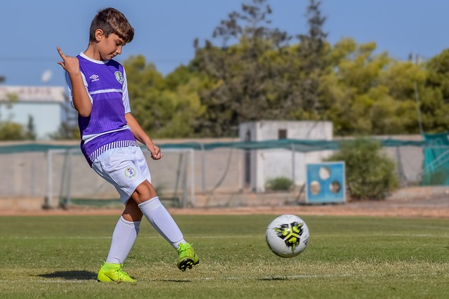 场馆和运动 场馆和运动