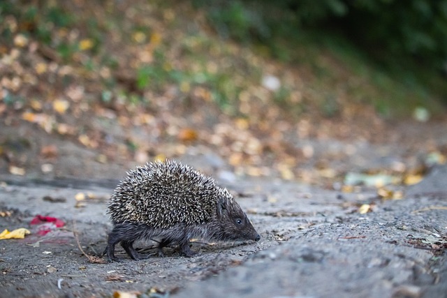 程相结合的 程相结合的