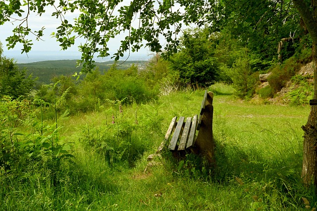 都蕴含着无 都蕴含着无