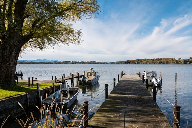 防守能力 防守能力