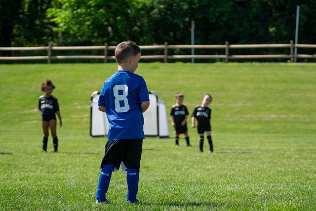 高的球员 高的球员